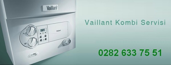 Vaillant Servis, Bakım, Arıza